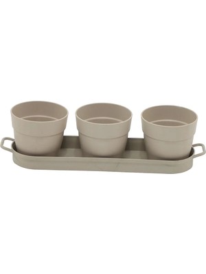 Poliwork 3'lü Set Kaktüs Saksı Mix 0.11 Lt - Mini Boy Sukulent Saksı Seti