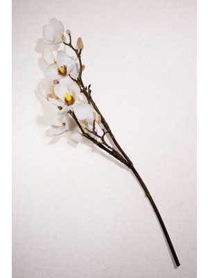 Paşabahçe Manolya 61 cm Krem - 1 Adet