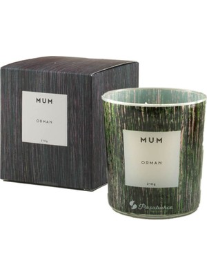 Paşabahçe Kokulu Mum Orman 240 G - 1 Adet
