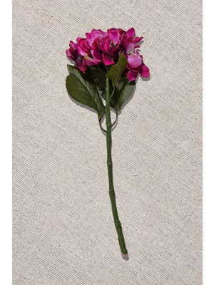 Paşabahçe Ortanca 50 cm Mor - 1 Adet