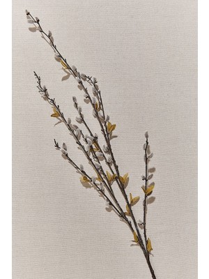Paşabahçe Osier 121 cm - 1 Adet