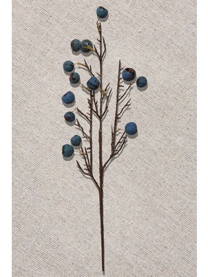 Paşabahçe Fruit 68 cm Mavi - 1 Adet