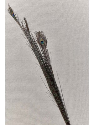 Paşabahçe Peacock 136 cm - 1 Adet