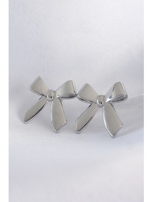 Ergün Store Pirinç Gümüş Renk Düz Plaka Fiyonk Küpe - Lisinya