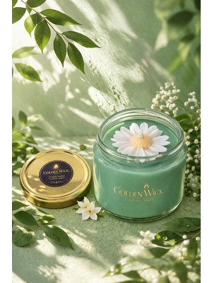 Moresun Golden Wick Nergis Kokulu Papatya Mum