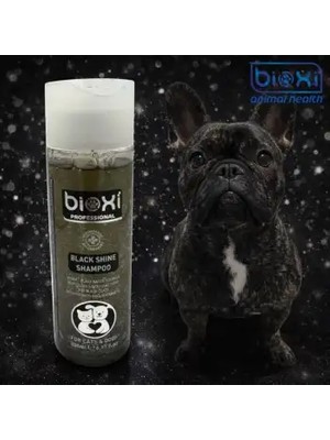 Montreal Bioxi Black Shine Pure Shampoo (Kedi ve Köpek Siyah Tüyler Için Şampuan) 200 ml ( 1 Adet )