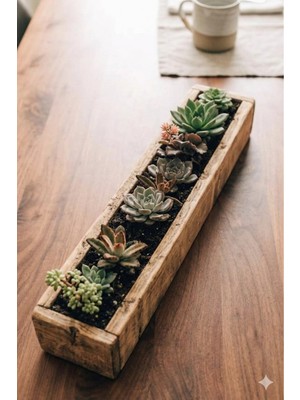 Rustik Uzun Ahşap Sukulent Saksı Dekoratif Masa Üstü Doğal Ahşap Saksı