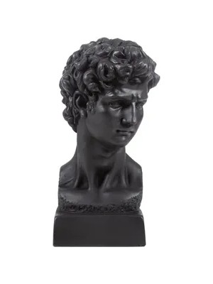 Vivense David Biblo Siyah