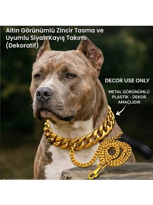 Gold Zincir Köpek Tasması ve Zincir Kayış - Dekoratif Plastik Zincir - Kolye Hediyeli