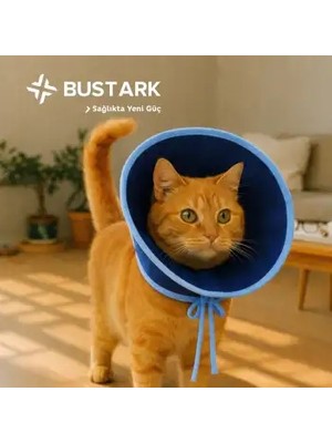 Montreal Bustark Kedi Bez Yakalık - Mavi - 10 Adet ( 1 Adet )