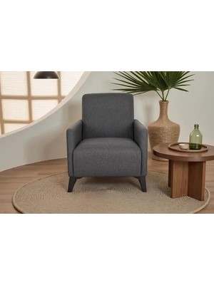 Vivense Marsel Berjer, Antrasit