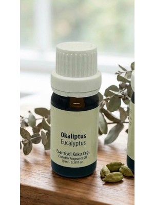 Hane216  Esansiyel Uçucu Koku Yağı Difüzör Esansı Buhurdanlık Yağı 10 ml - 0.38 Fl Oz.