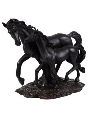 Vivense Yavrulu At Biblo Siyah