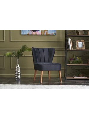 Vivense Layla Berjer, Antrasit