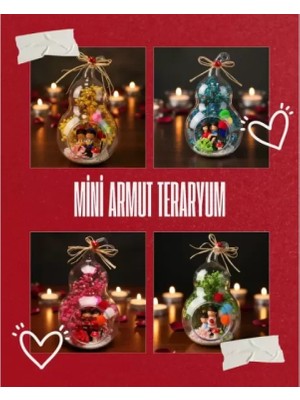 Marsilyan- Mini Armut Teraryum - Özel Gün Hediyesi