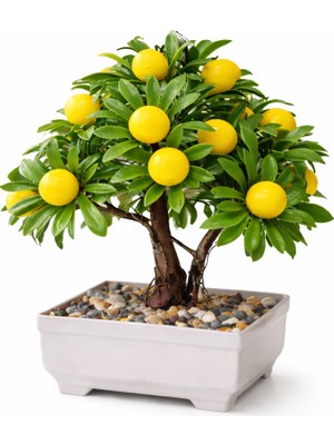 B&Nine Premium Gerçekçi Yapay Limon Bonsai Ağacı - 24 cm Dekoratif Saksılı Yapay Bitki