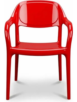 Retro Art Vera Kolçaklı 2'li Plastik Sandalye