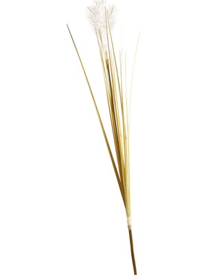 Paşabahçe Bulrush 119 cm Krem - 1 Adet