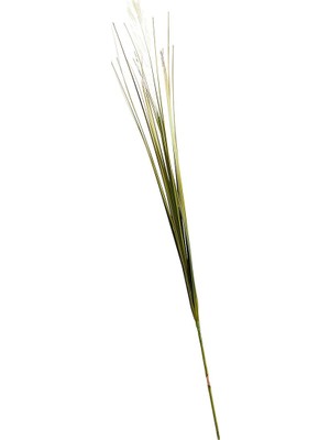 Paşabahçe Grass 92 cm Krem - 1 Adet