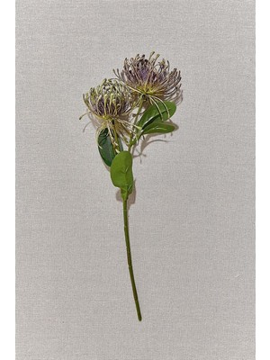 Paşabahçe Pincushion 41 cm Mor - 1 Adet