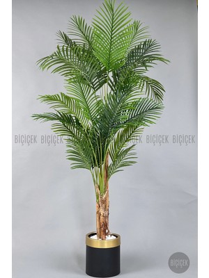 Biçiçek Areka Palmiyesi 220cm metal siyah gold saksıda