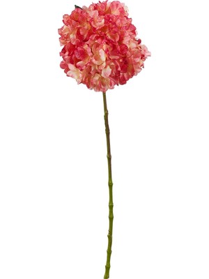 Paşabahçe Ortanca 60 cm Pembe - 1 Adet