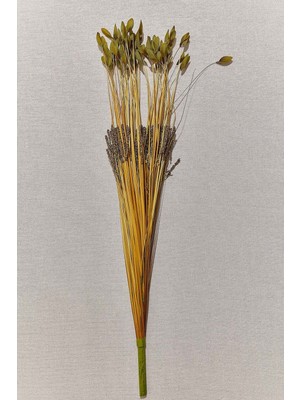 Paşabahçe Grass 75 cm Yeşil - 1 Adet