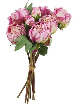 Paşabahçe Buket 32 cm Mor - 1 Adet