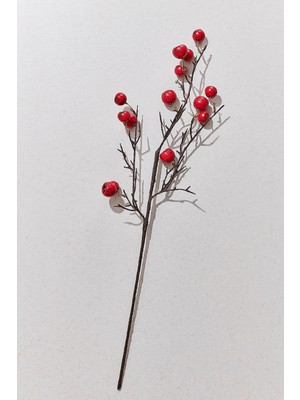 Paşabahçe Fruit 68 cm Kırmızı - 1 Adet