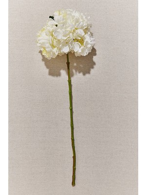 Paşabahçe Ortanca 60 cm Beyaz - 1 Adet