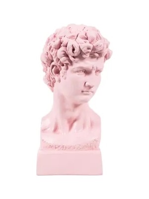 Vivense David Büst Pembe