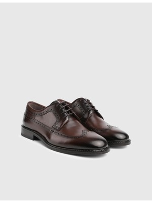 İLVİ Pieter Hakiki Deri Kahverengi Erkek Klasik Ayakkabı