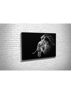 Vivense TABLO360 Aslan Kanvas Tablo, 60X90