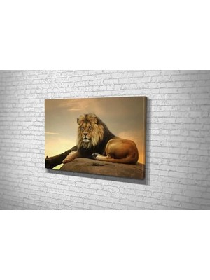 Vivense TABLO360 Aslan Kanvas Tablo, 100X150