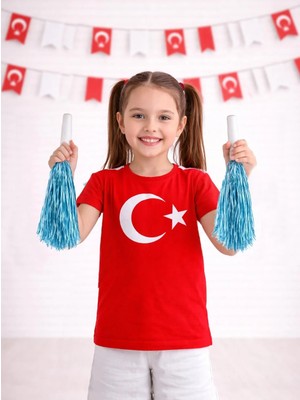 Parti Adresi Açık Mavi Metalik Ponpon – Milli Bayram Gösteri Ponponu 2'li