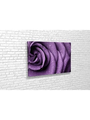 Vivense TABLO360 Gül Kanvas Tablo 60X90