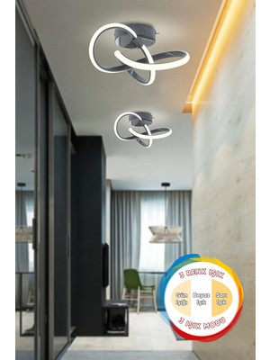Kendal Hare Füme Modern Plafonyer Tavan Avize 3 Renk Işık Salon Mutfak Yatak Odası