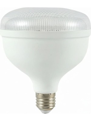 Kendal GES242 Kristal Tasarımlı Torch (Mısır) LED Ampul 40W Beyaz Işık
