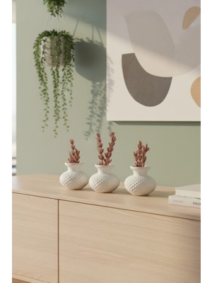 3lü Dekoratif Beyaz Mini Vazo Set + Şoklanmış Çiçek
