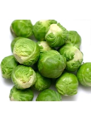 Hakay Brüksel Lahanası Tohumu, Yüksek Verim