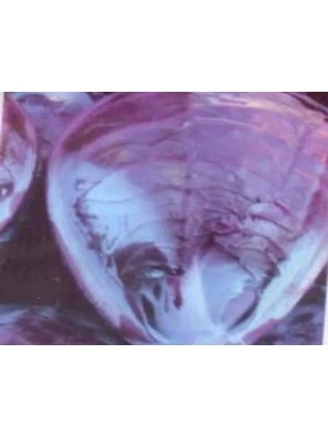 Hakay Kırmızı Lahana Tohumu - Aksel 10 gr