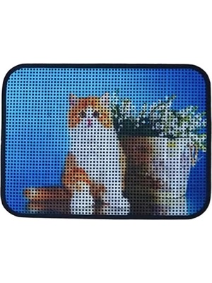 Hakay Elekli Desenli Kedi Tuvalet Önü Paspası (60 x 45 Cm)