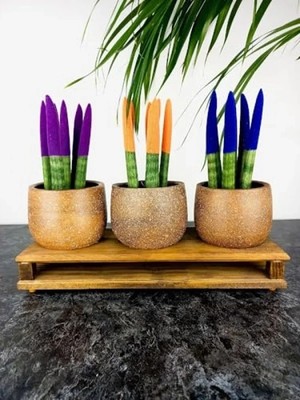 Hakay Kahverengi Granit Efektli Üçlü Ahşap Tabanlı Saksı Seti