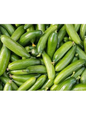 Hakay Çengelköy Doğal Salatalık Tohumu - Taze ve Lezzetli