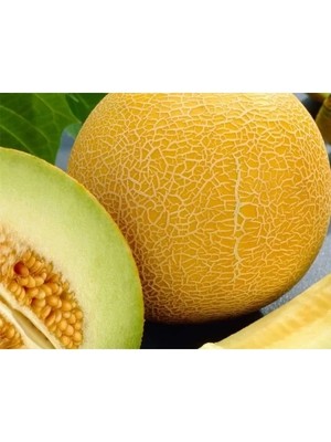 Hakay Doğal Galia Kavun Tohumu - Yüksek Kalite