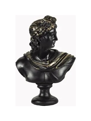 Vivense Apollo Büst Siyah Gold