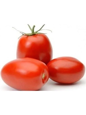 Hakay Rio Domates Tohumu - 10 Gram