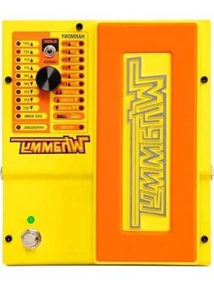Hakay Dayanıklı Whammy Pedalı - Mn Modeli