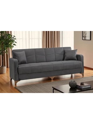 Vivense Ezgi Kanepe, Antrasit