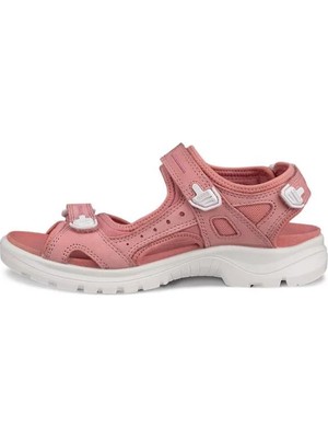 Ecco Offroad